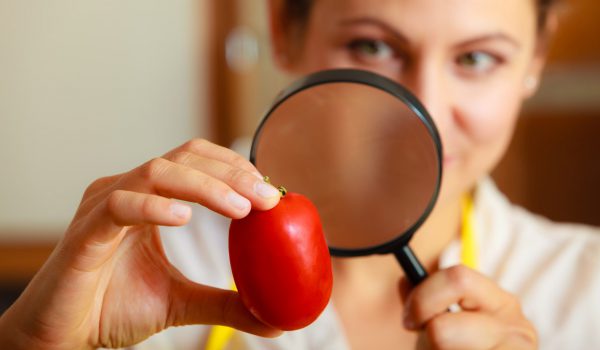 Variety Matching tomatoes scouts searches